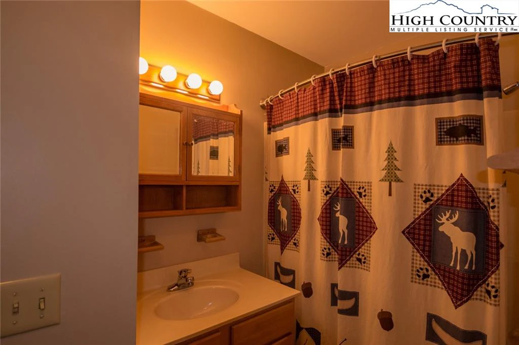 Image number 3 for the current listing