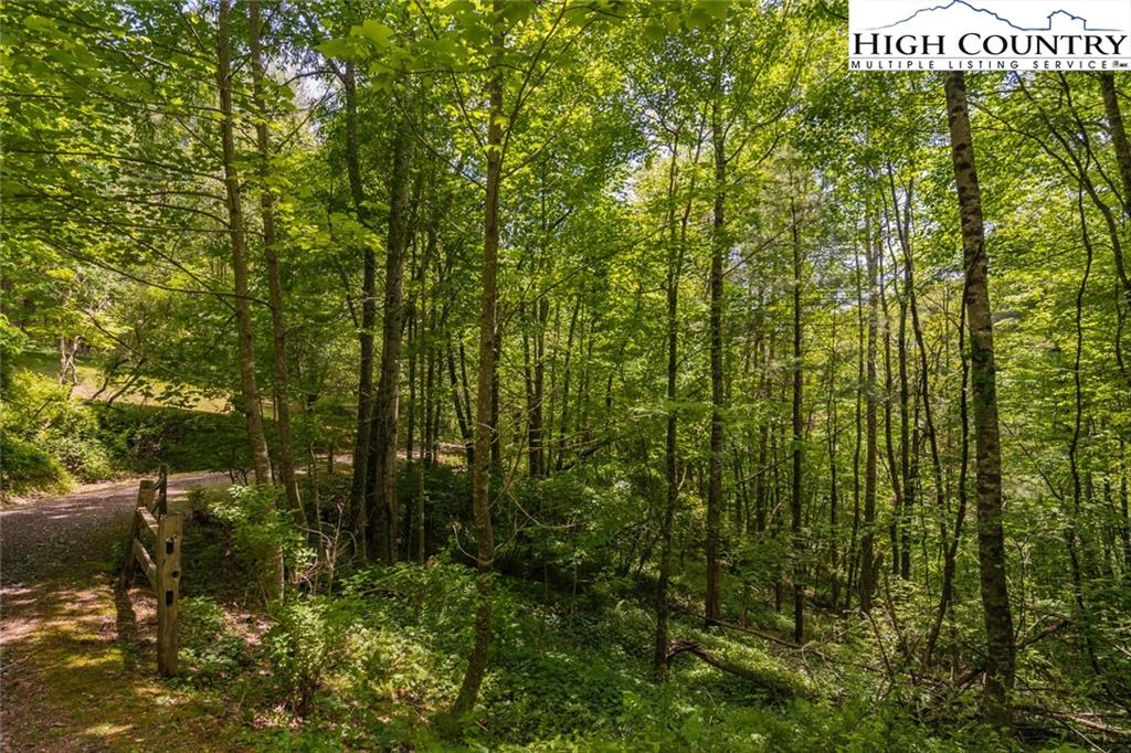 Image number 18 for the current listing