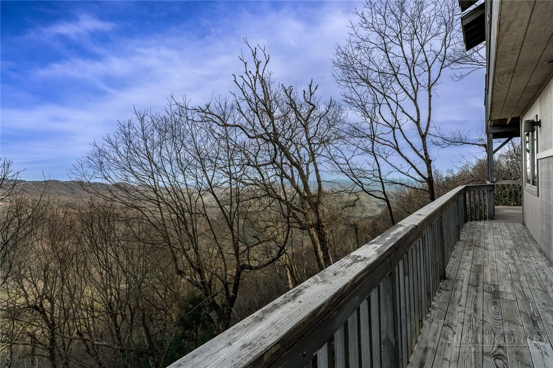 Image number 2 for the current listing