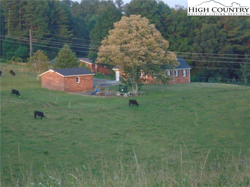 Image number 4 for the current listing