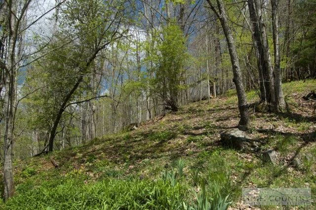 Image number 14 for the current listing