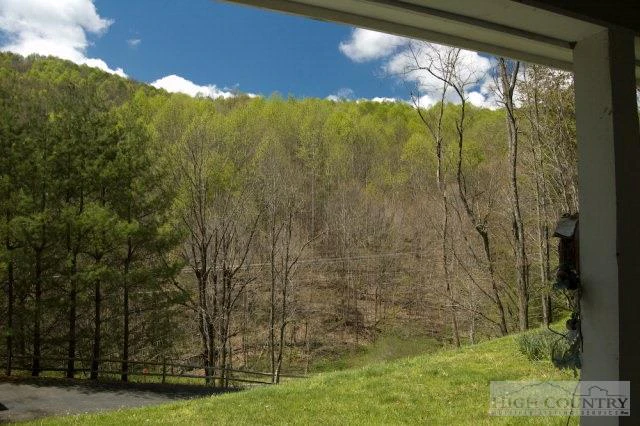 Image number 4 for the current listing