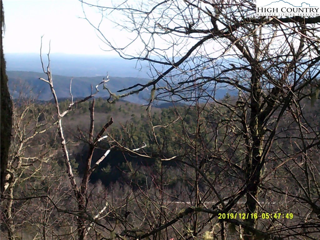 Image number 7 for the current listing