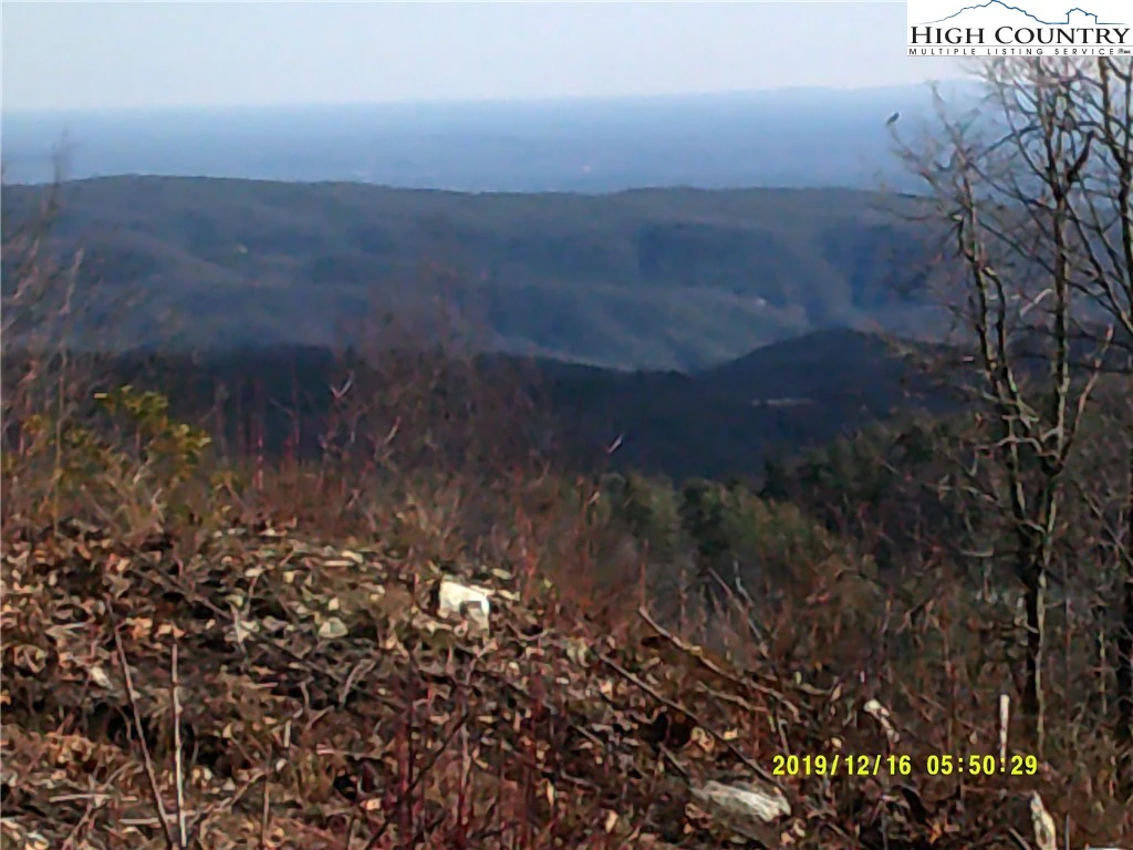 Image number 5 for the current listing