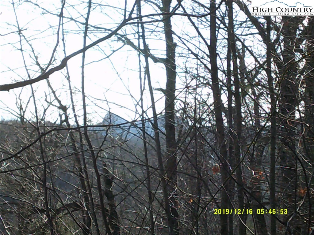 Image number 4 for the current listing