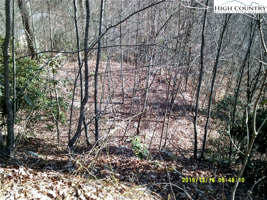 Image number 1 for the current listing