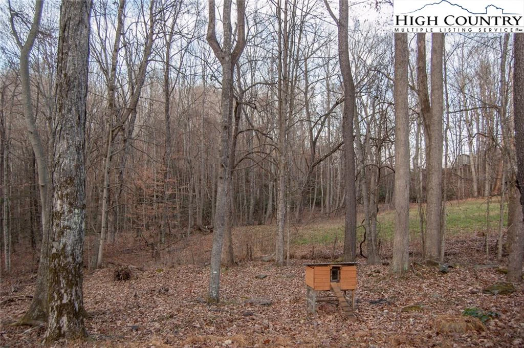 Image number 4 for the current listing