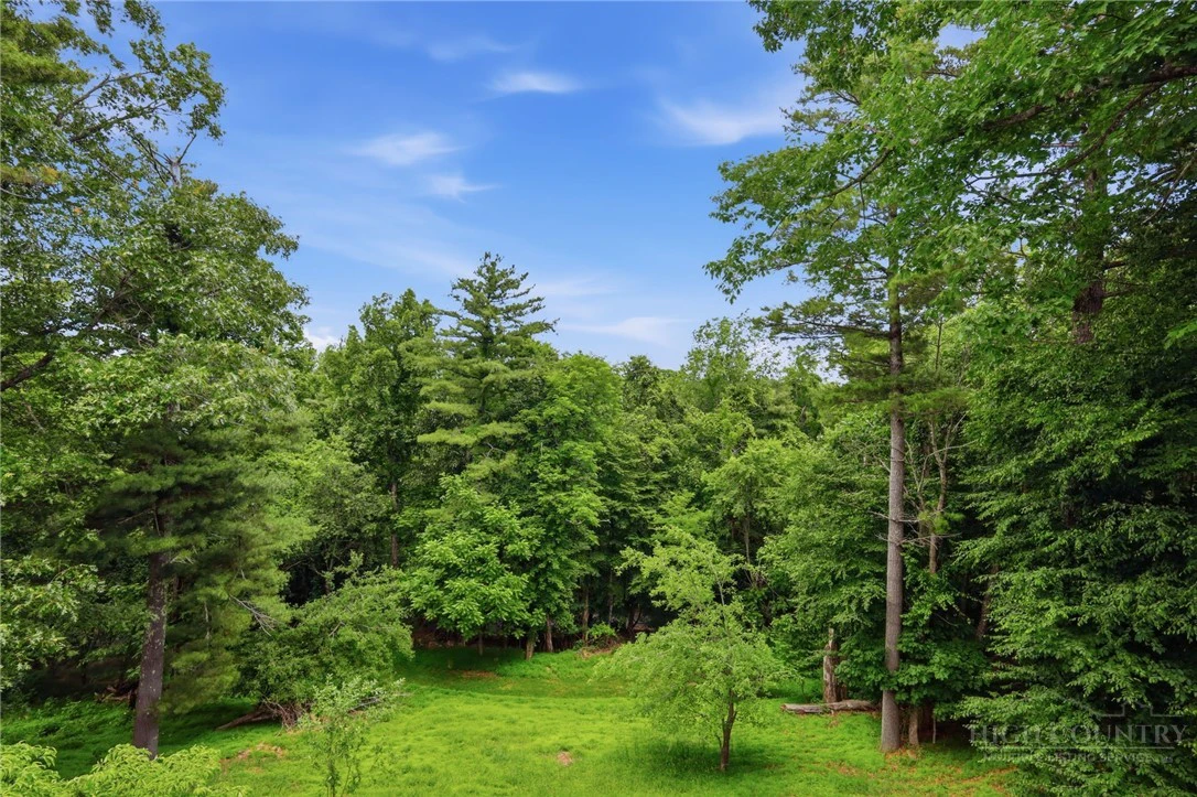 Image number 12 for the current listing
