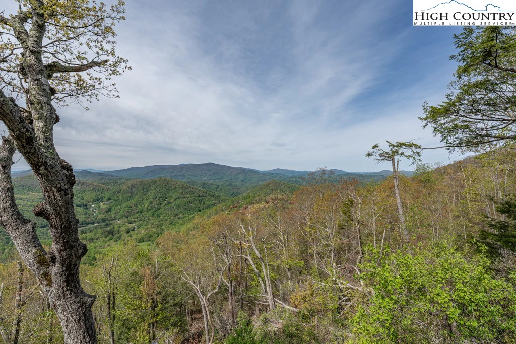 Image number 2 for the current listing
