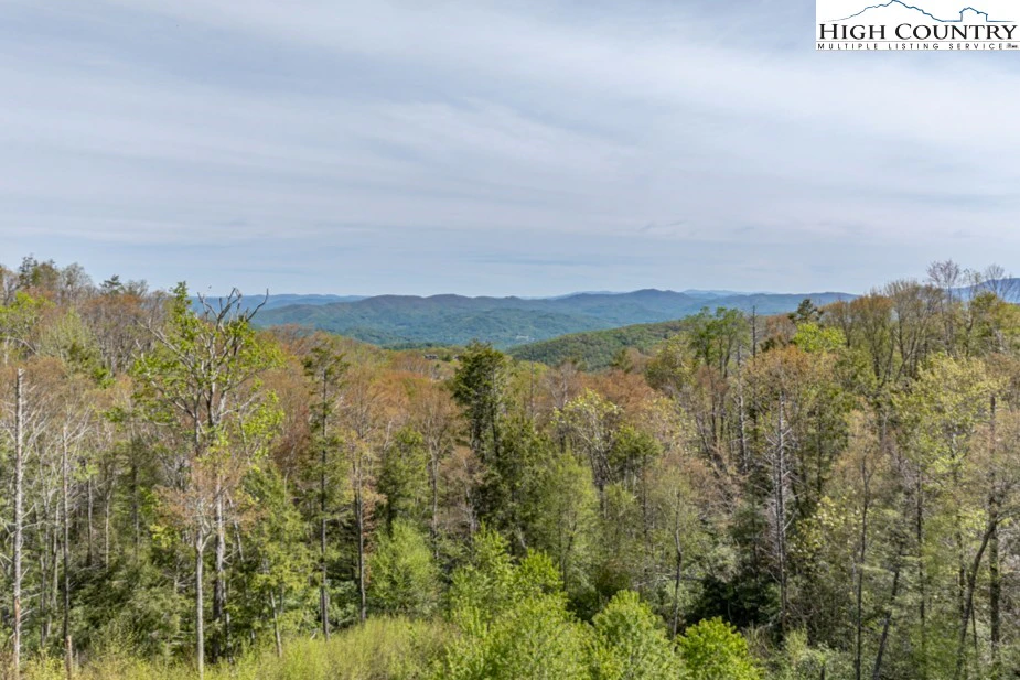 Image number 1 for the current listing
