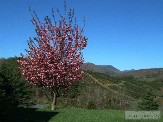 Image number 19 for the current listing