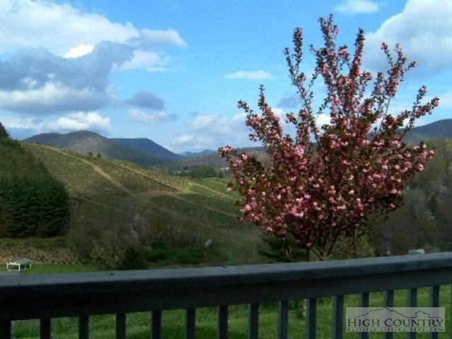 Image number 8 for the current listing