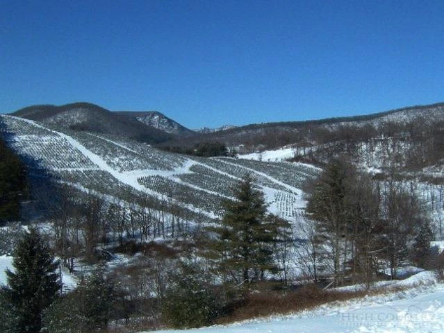 Image number 6 for the current listing