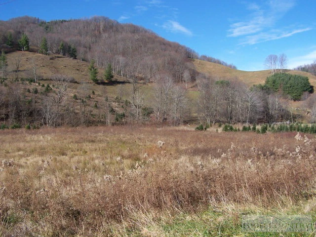 Image number 1 for the current listing