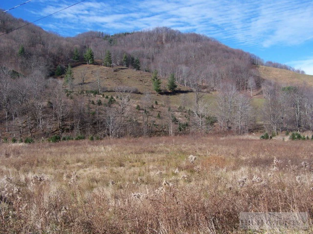 Image number 16 for the current listing