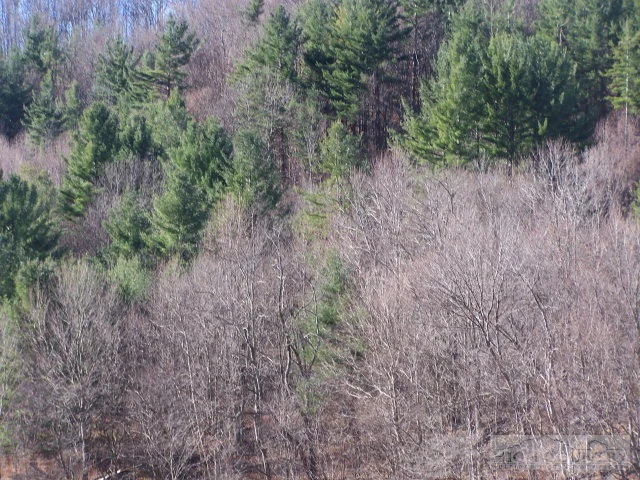 Image number 8 for the current listing