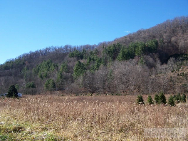 Image number 7 for the current listing