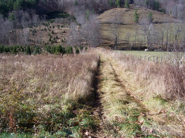 Image number 6 for the current listing