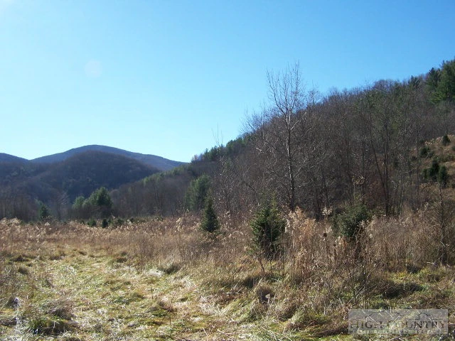 Image number 5 for the current listing