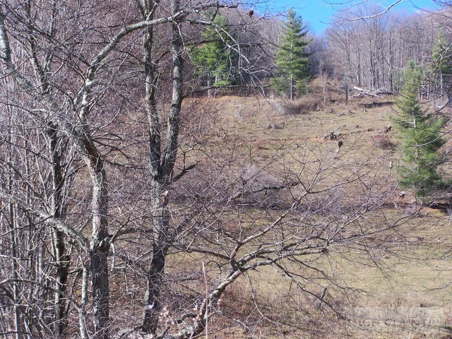 Image number 11 for the current listing