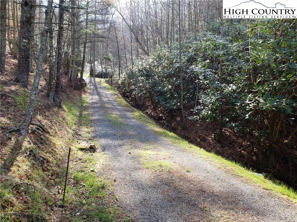 Image number 3 for the current listing