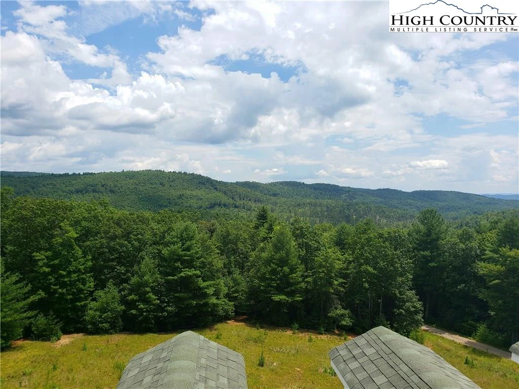 Image number 4 for the current listing