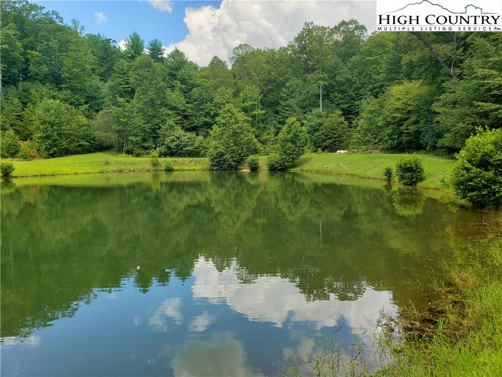 Image number 3 for the current listing