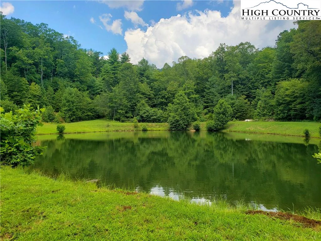 Image number 20 for the current listing