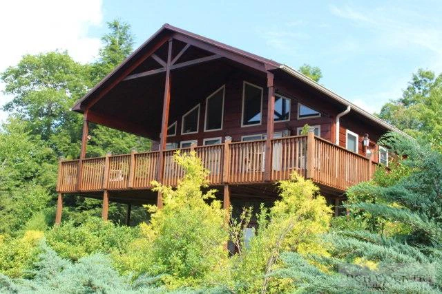 Image number 1 for the current listing