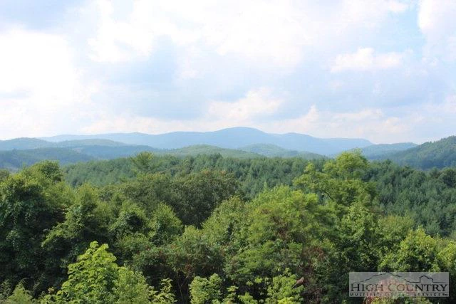 Image number 2 for the current listing