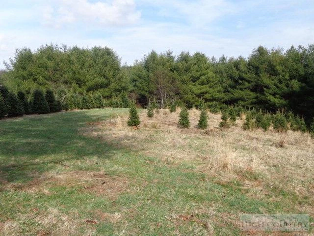 Image number 14 for the current listing