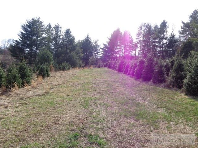 Image number 13 for the current listing