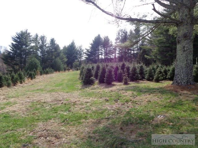 Image number 12 for the current listing