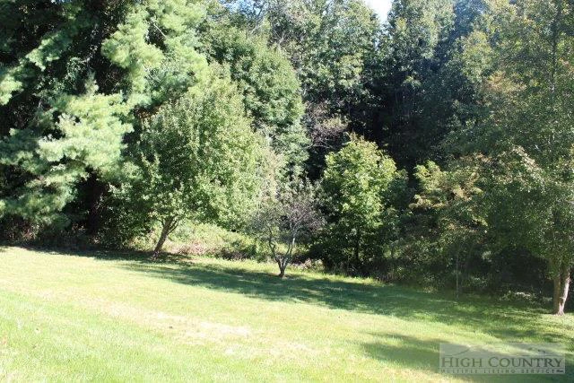 Image number 4 for the current listing