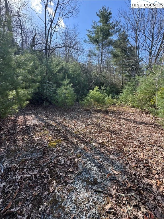 Image number 1 for the current listing