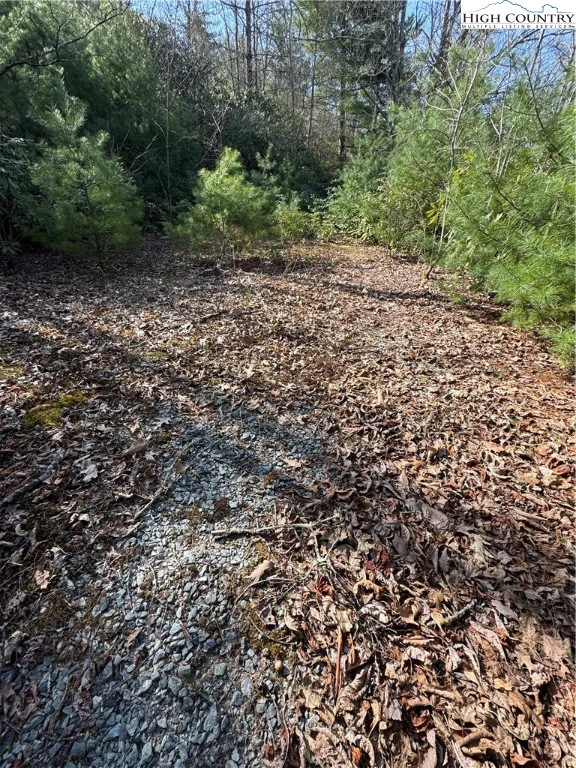 Image number 4 for the current listing