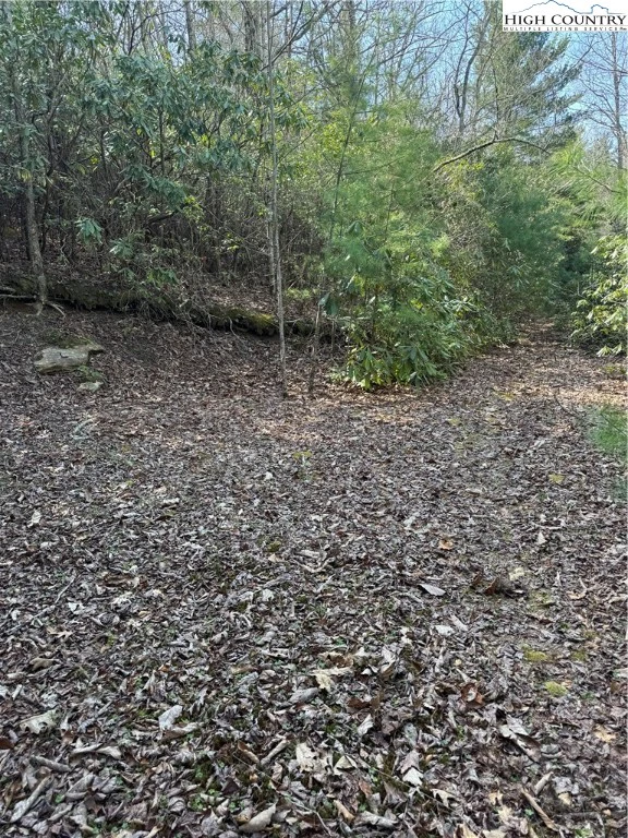Image number 6 for the current listing