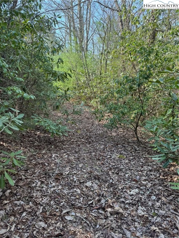 Image number 7 for the current listing