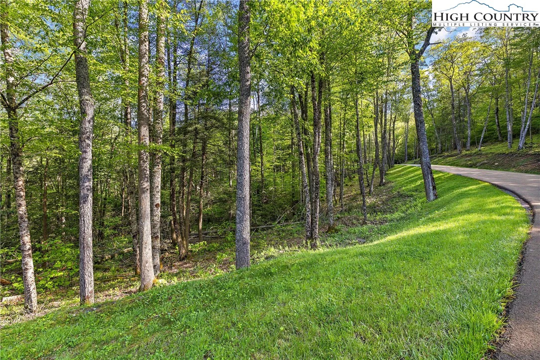 Image number 1 for the current listing