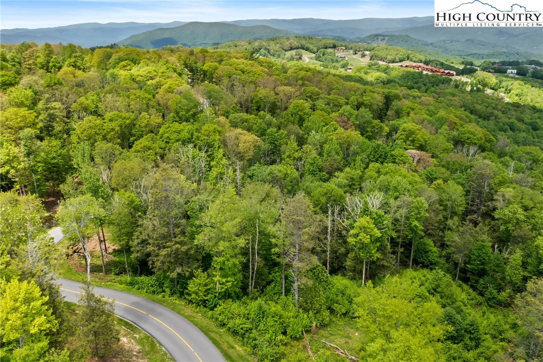 Image number 11 for the current listing