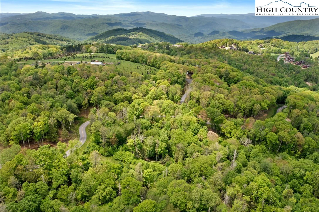 Image number 3 for the current listing