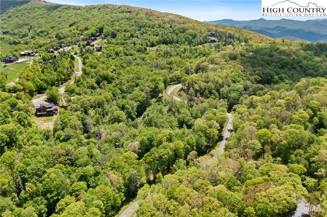 Image number 7 for the current listing