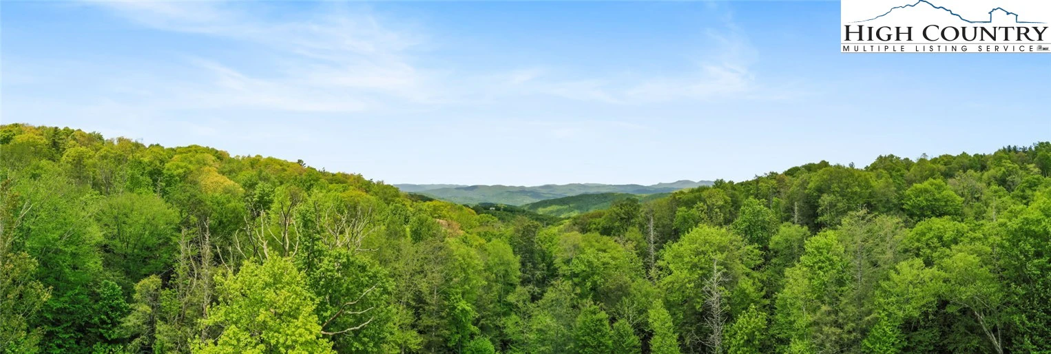 Image number 13 for the current listing