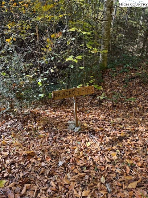 Image number 3 for the current listing