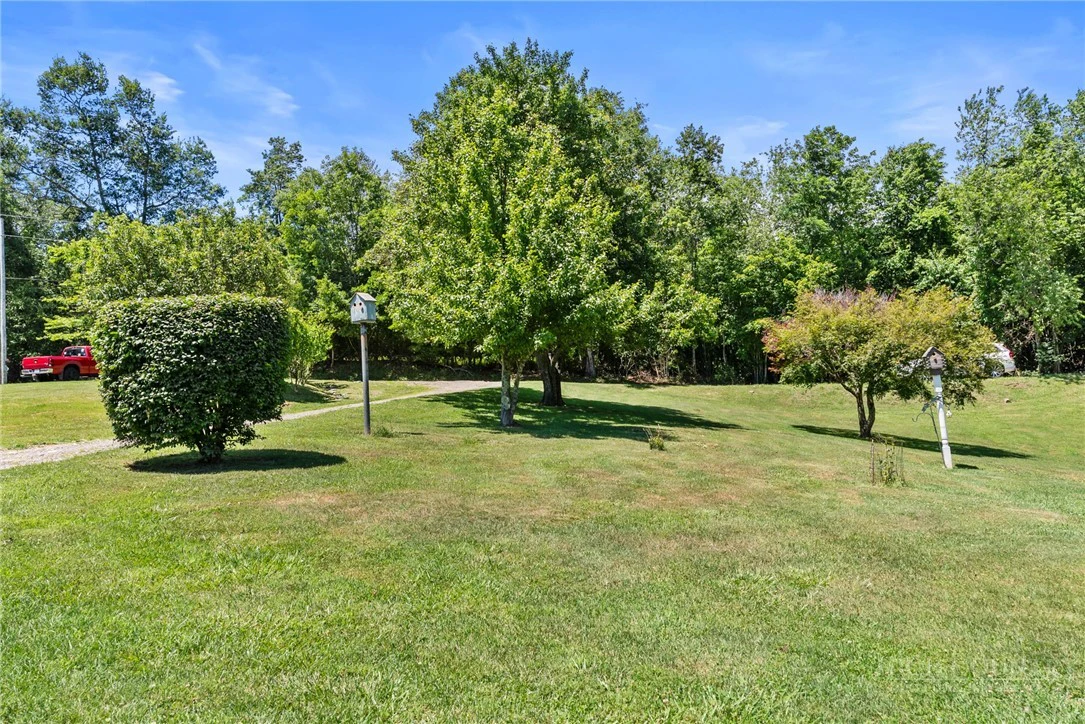 Image number 3 for the current listing