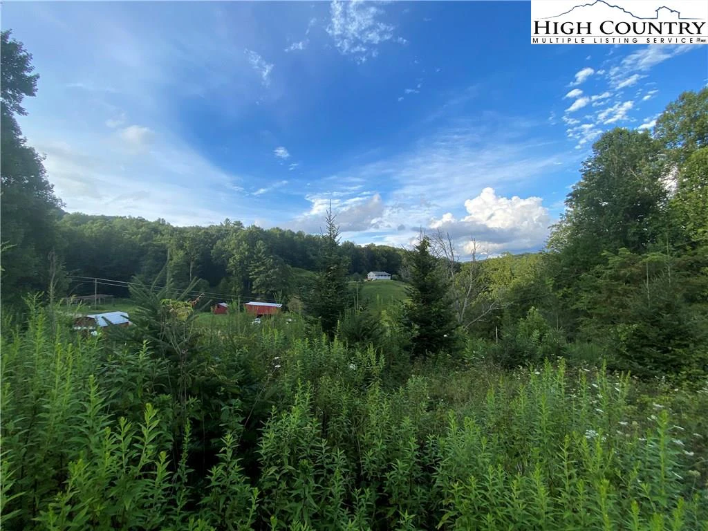 Image number 6 for the current listing