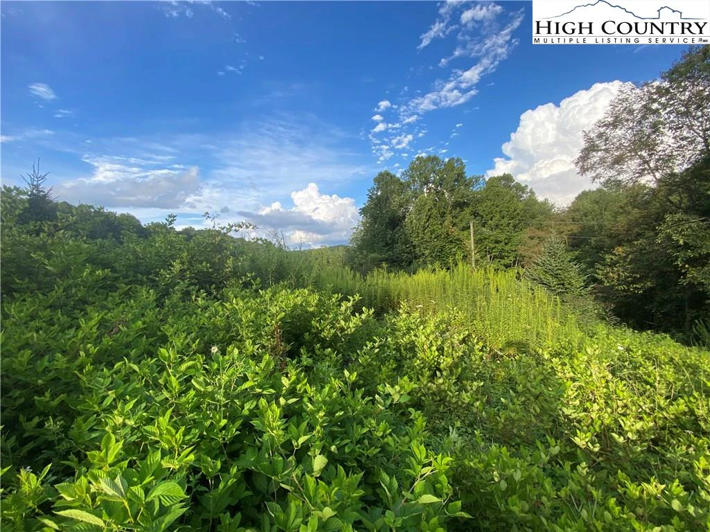 Image number 4 for the current listing