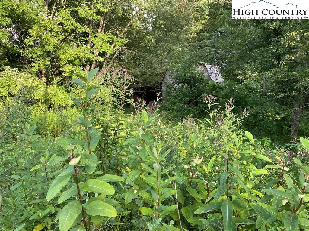 Image number 3 for the current listing