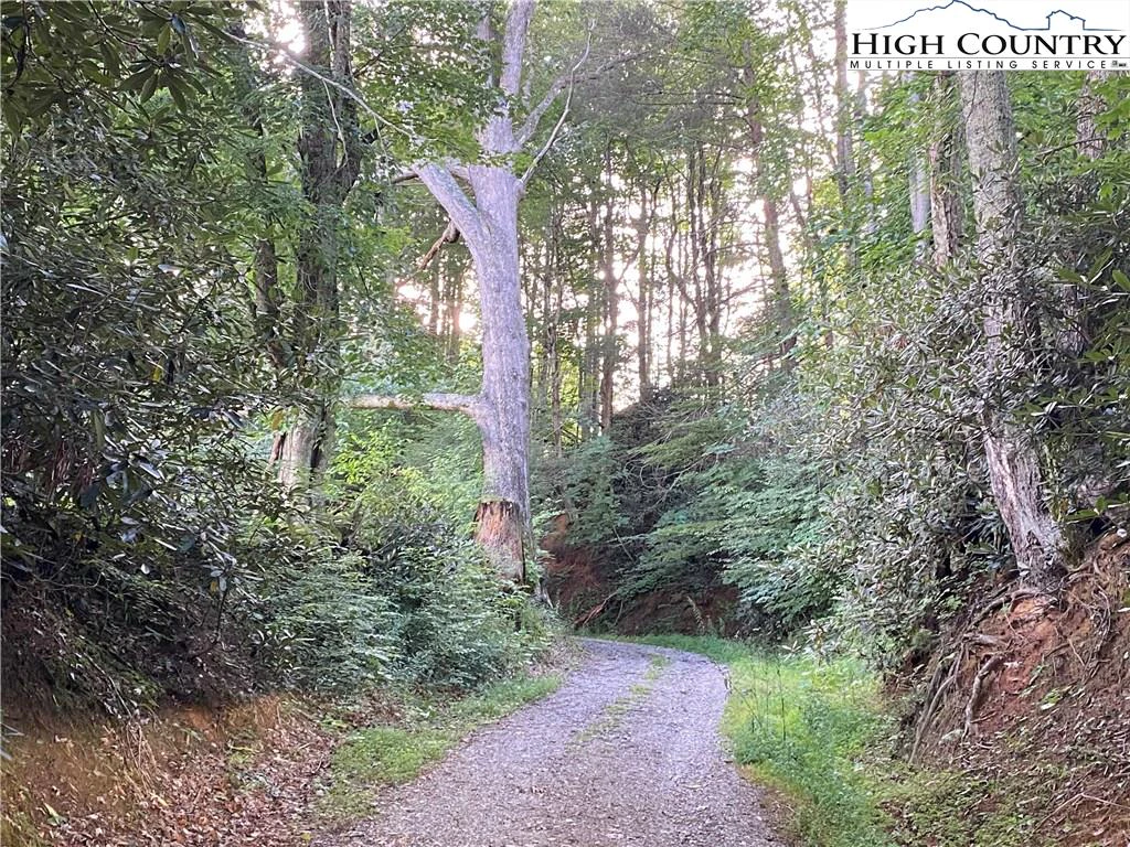 Image number 16 for the current listing