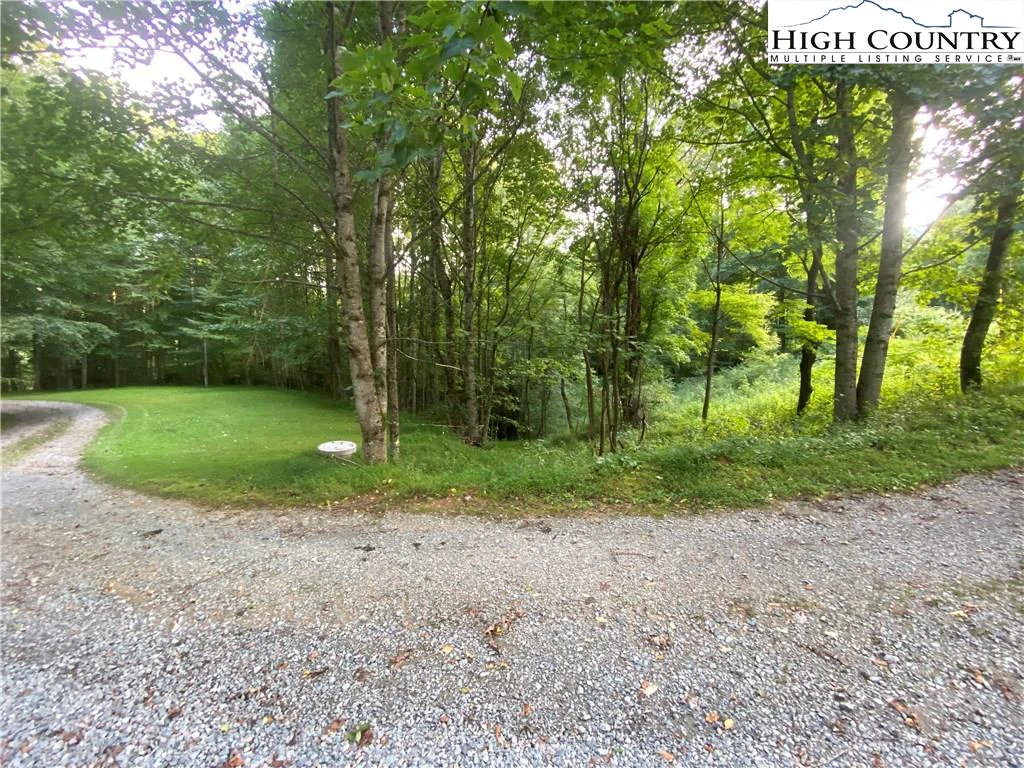 Image number 15 for the current listing